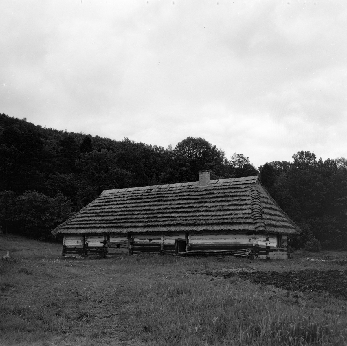 skansen - wieczna chałupa z tzw. tragarzem z Dąbrówki Ruskiej, elewacja tylnia, skan 1