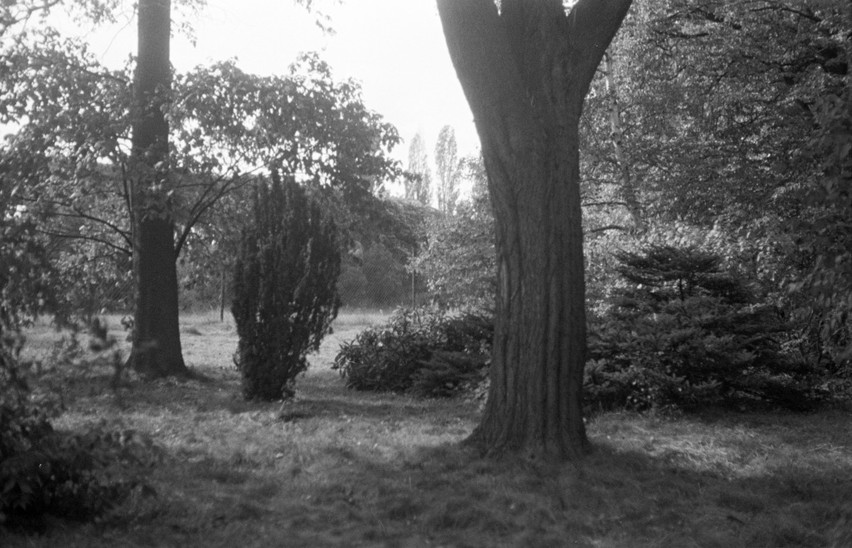 park Szczytnicki - park japoński - fragment, skan 1