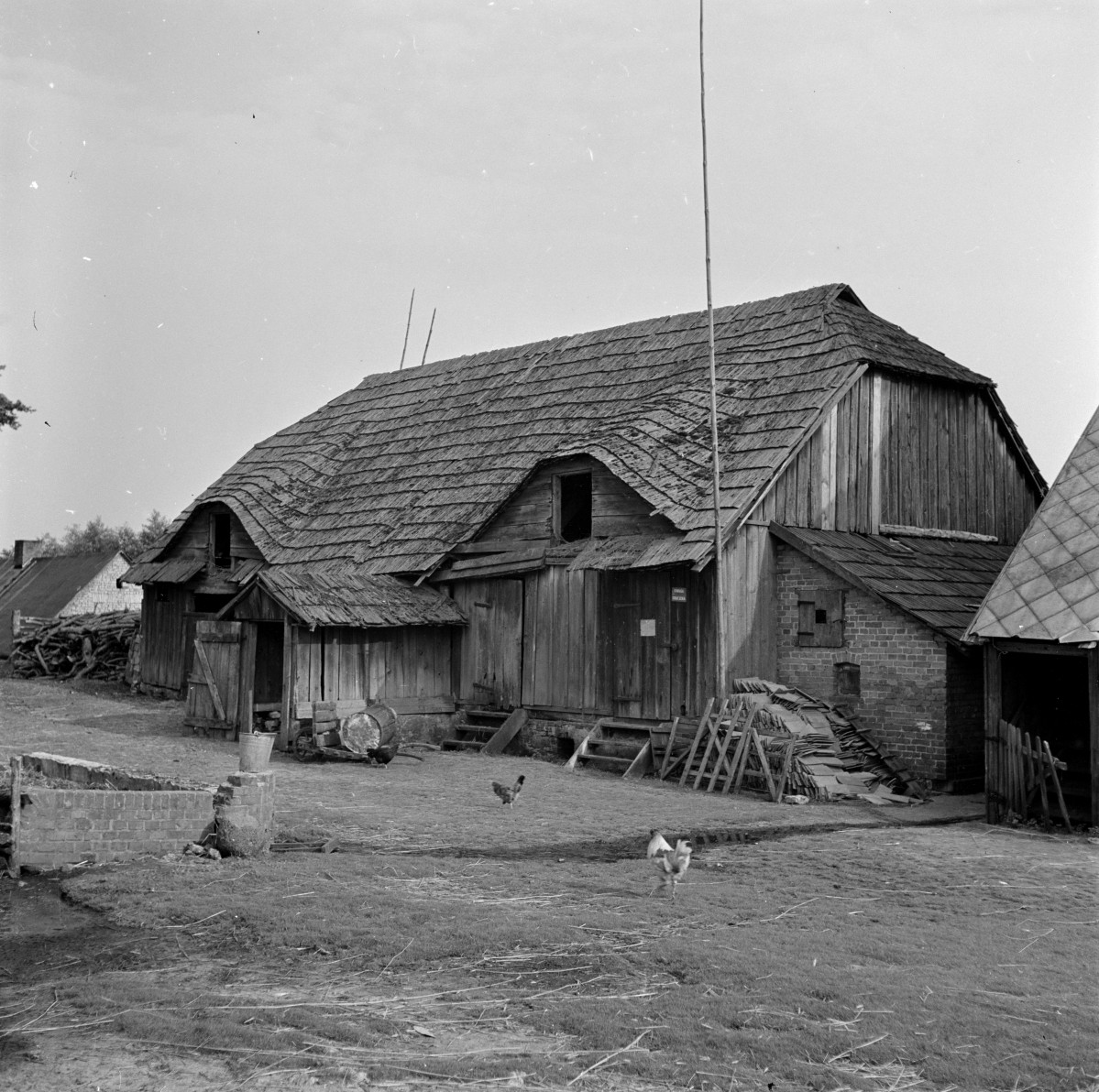 dom nr. 7 - elewacja od podwórza, skan 1
