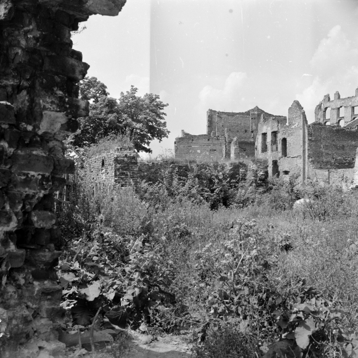 zespół szpitala św. Ducha, ob. Biblioteka Wojewódzka - elewacja - ruiny, skan 1