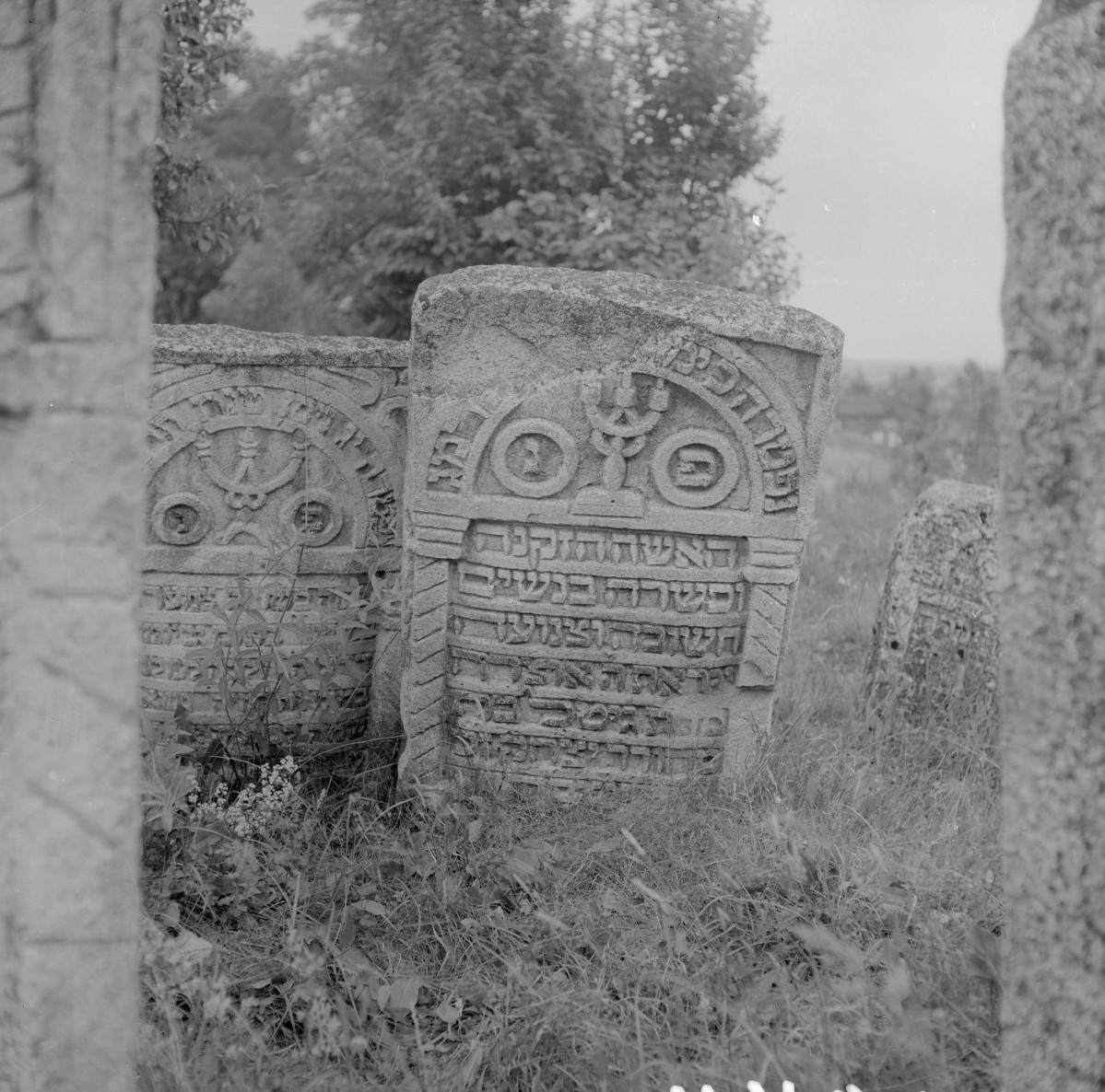 Cmentarz, Kirkut - macewy, skan 1