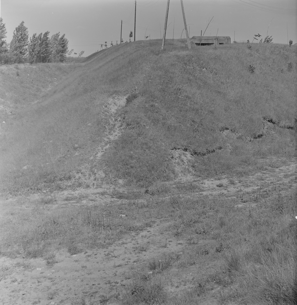 Twierdza Różan - fort nr. 1, widok ogólny, skan 1