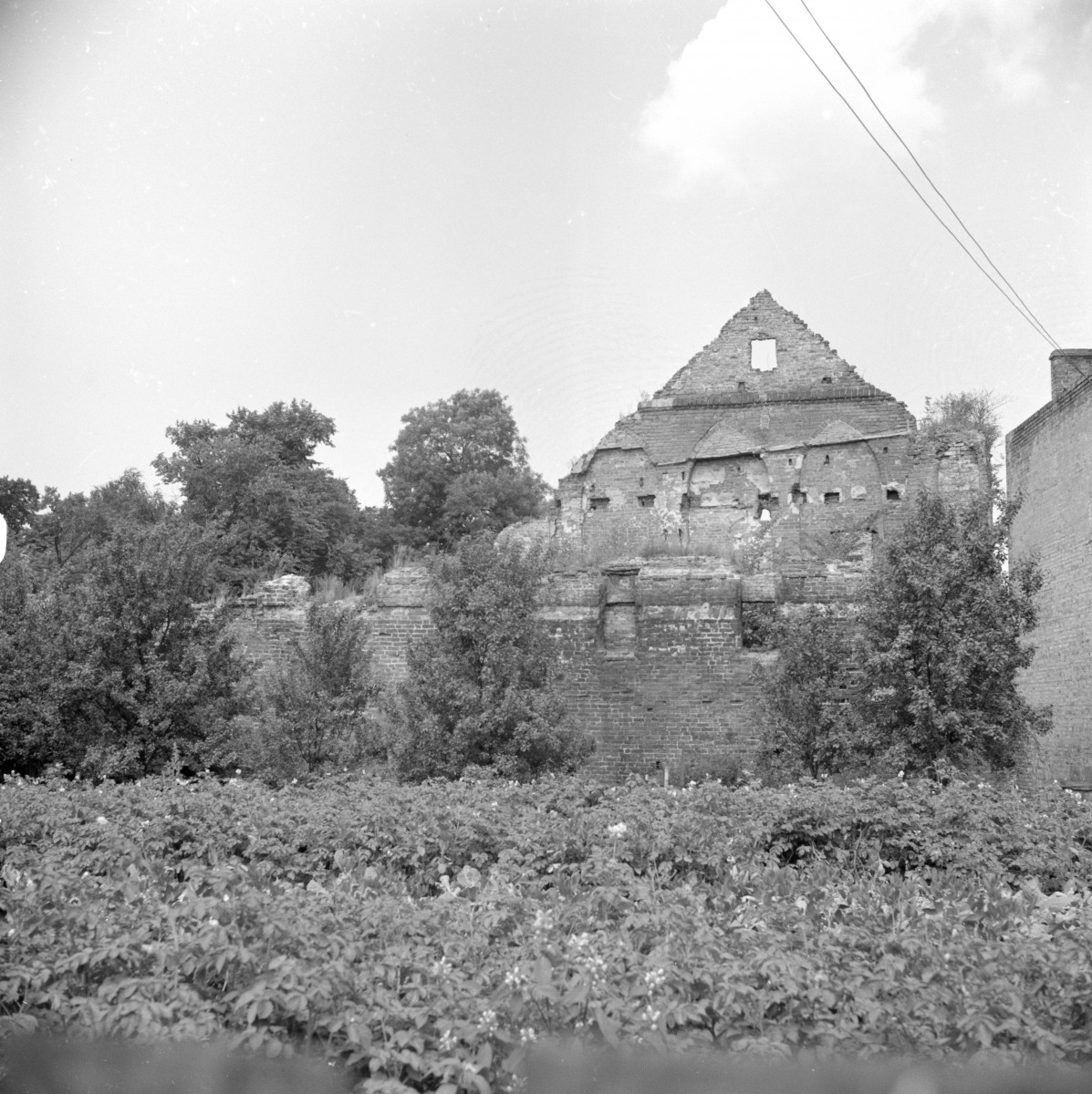 zamek krzyżacki (ruiny) - widok od południa, skan 1