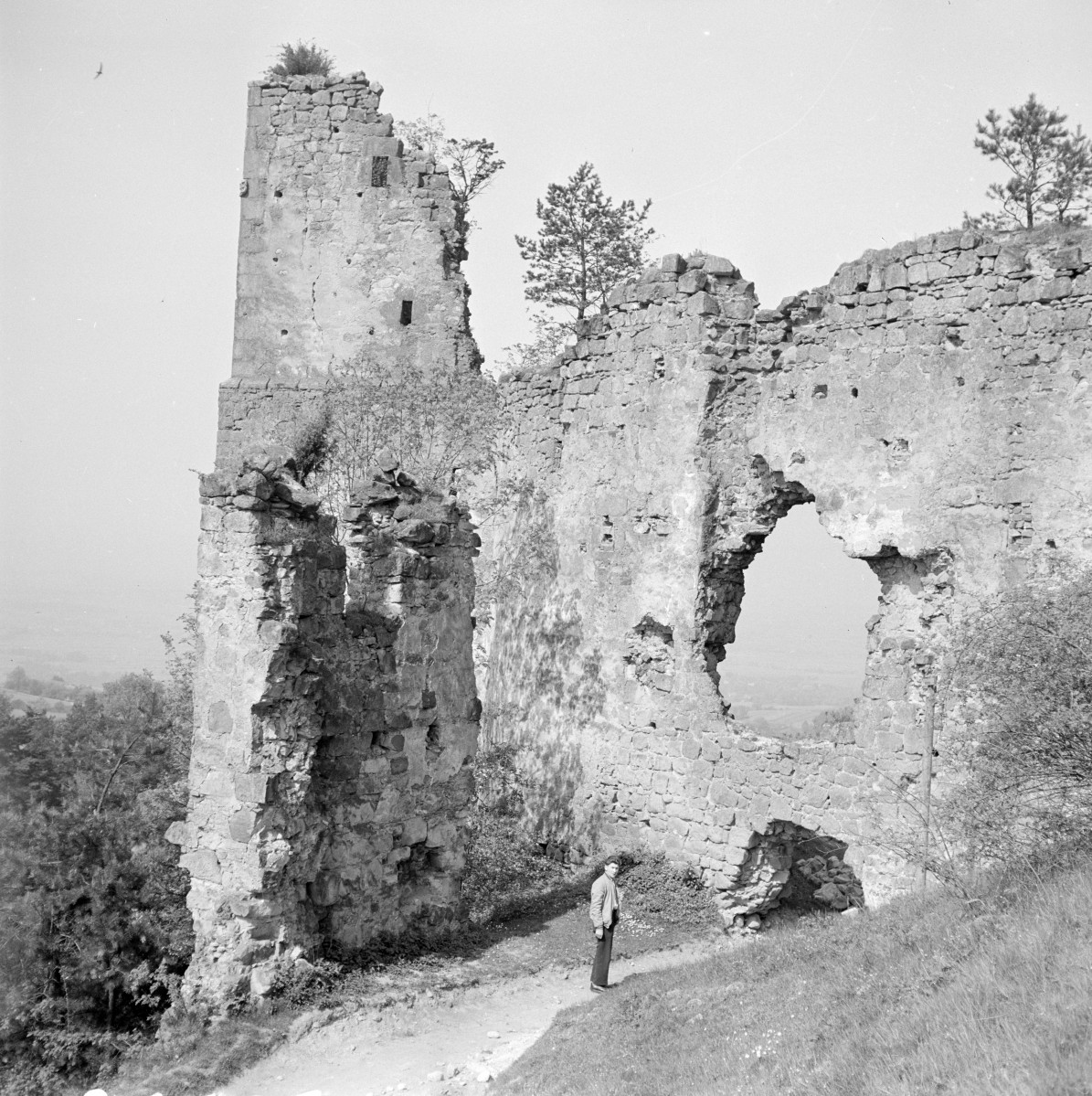 zamek Kamieniec - fragment murów z strony wewnętrznej, skan 1