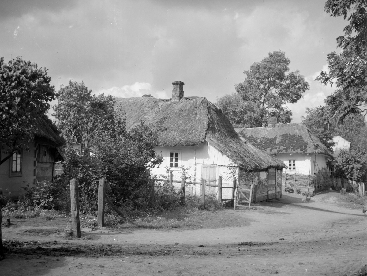 elewacje drewnianych chałup - widok od ulicy, skan 1