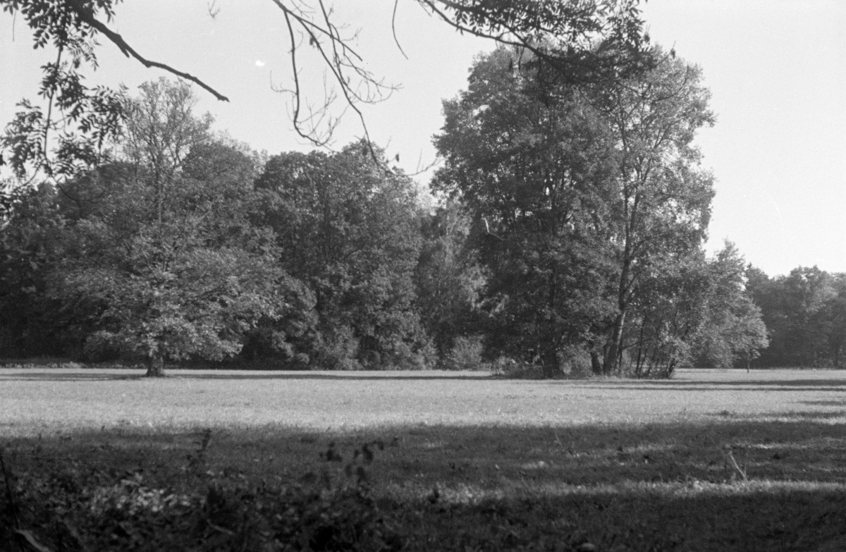 opactwo Cystersów - park krajobrazowy - fragment, skan 1