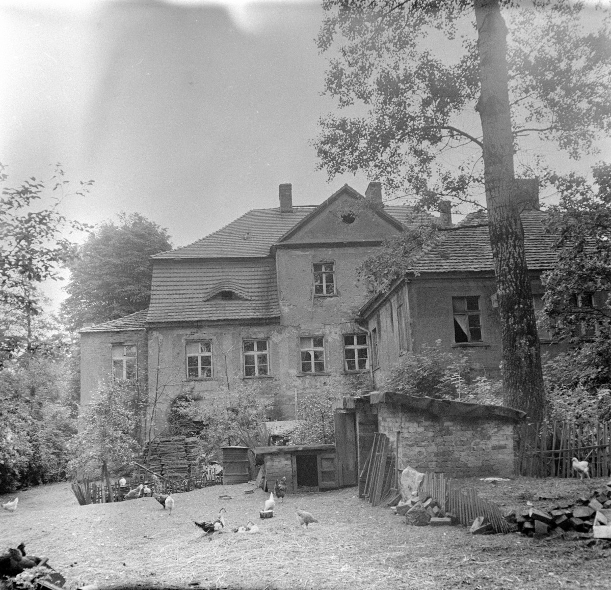 pałac - elewacja południowa, skan 1