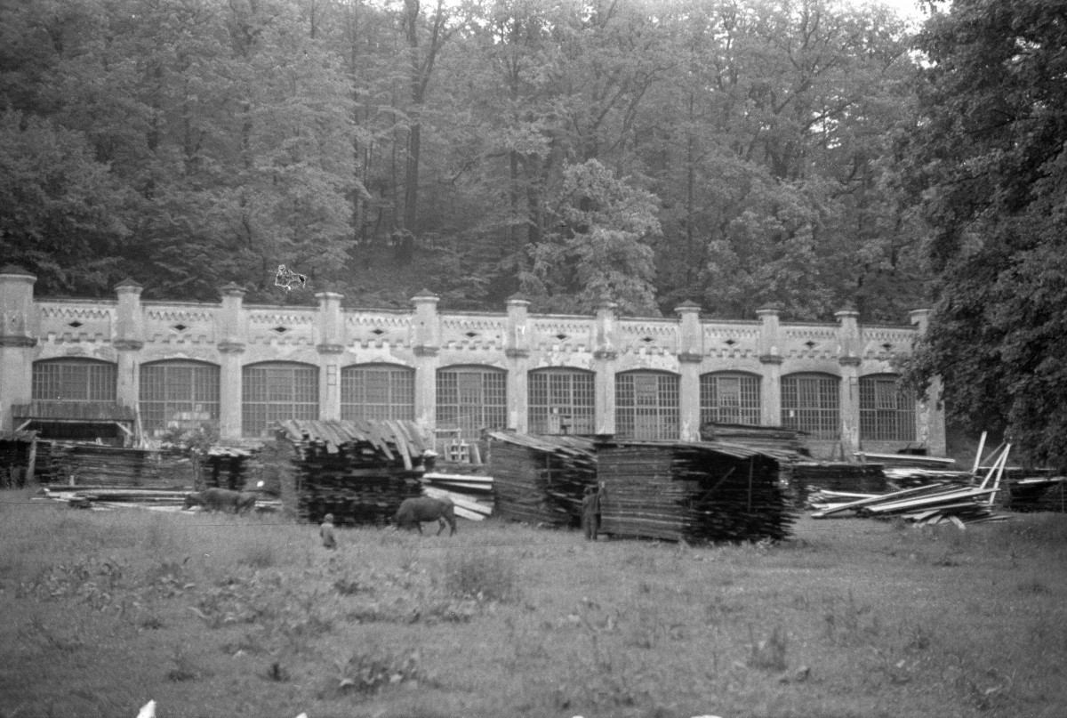 zamek Komorowskich - park, oranżeria, skan 1