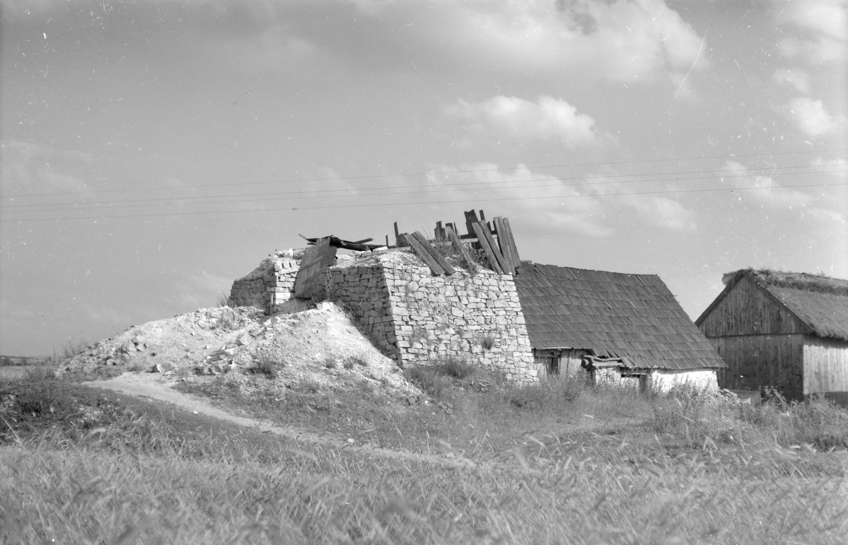 wapiennik - widok ogólny, skan 1