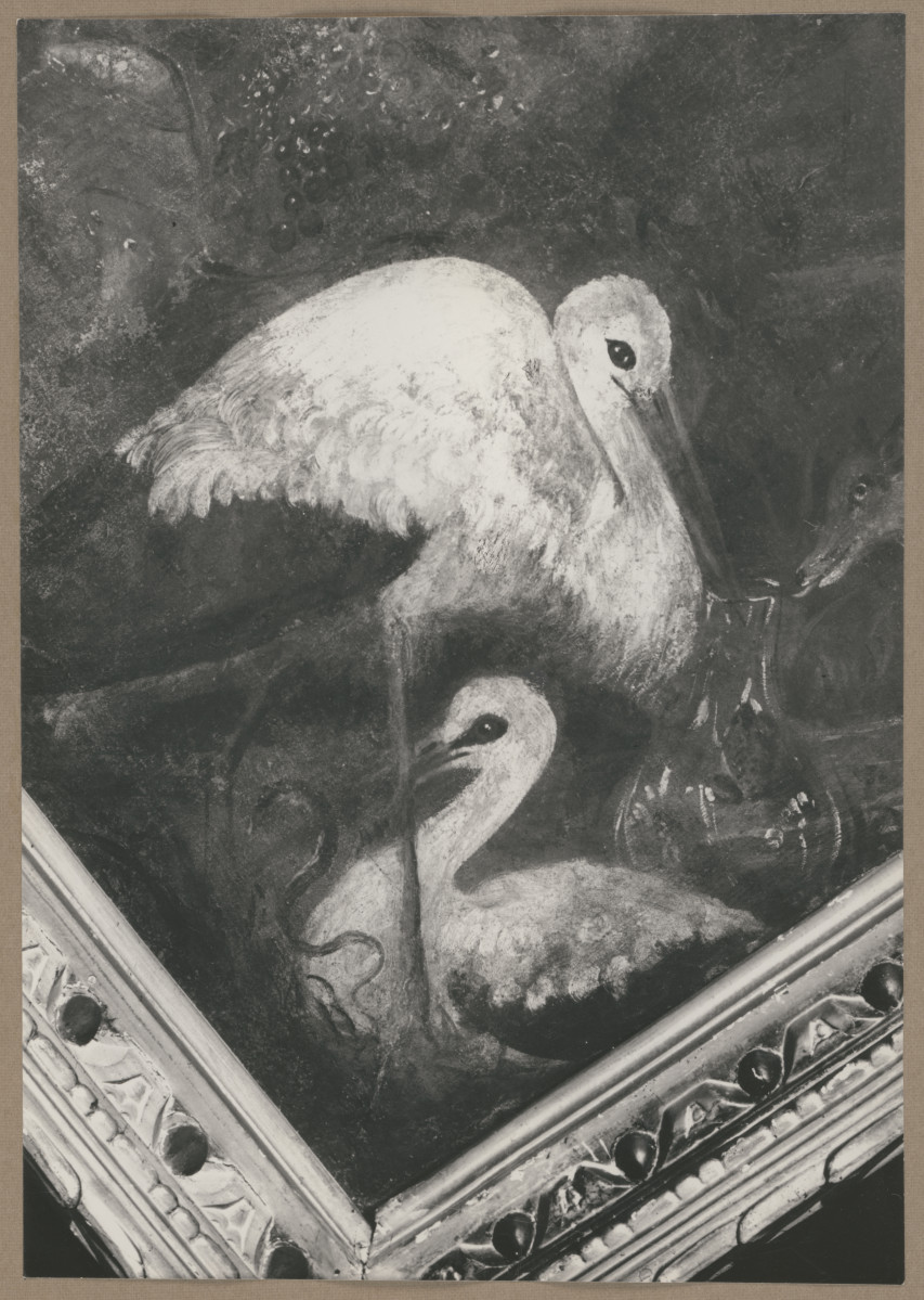 Pałac biskupów - wnętrze, pokój biskupi, fragment plafonu, skan 1