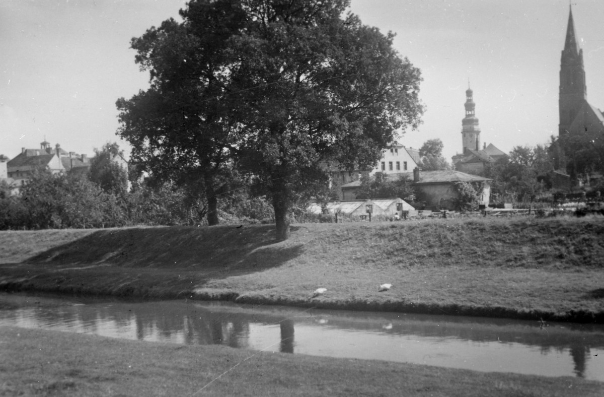 panorama miasta, fragment z ratuszem i kościołem od strony rzeki Oławy, skan 1