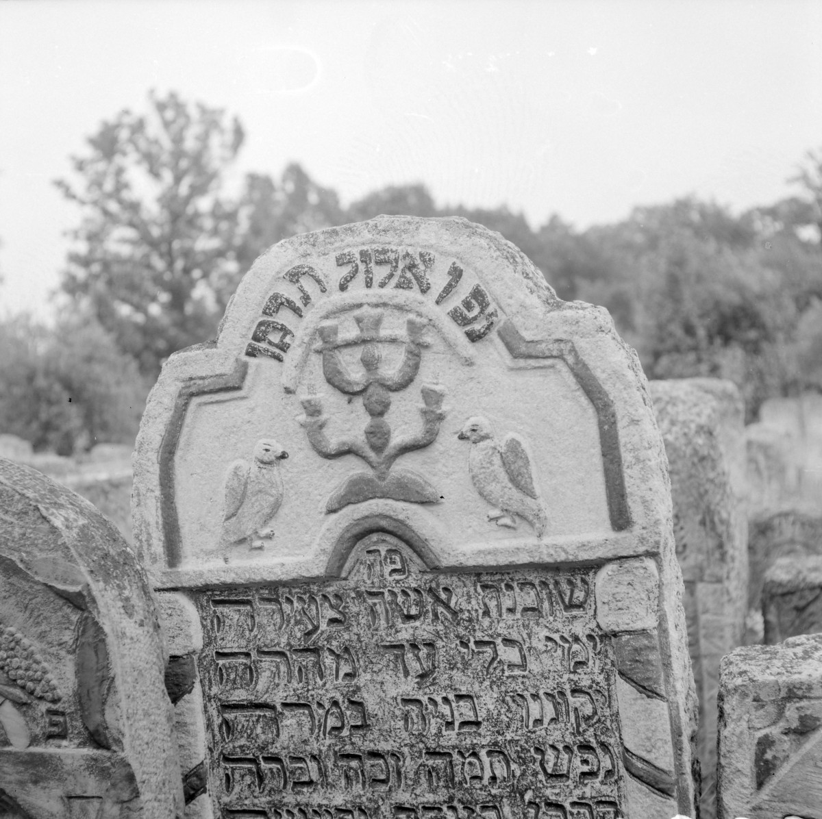 Cmentarz, Kirkut - macewy, skan 1