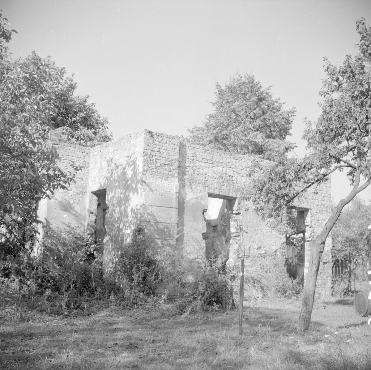klasztor franciszkanów - ruiny, skan 1