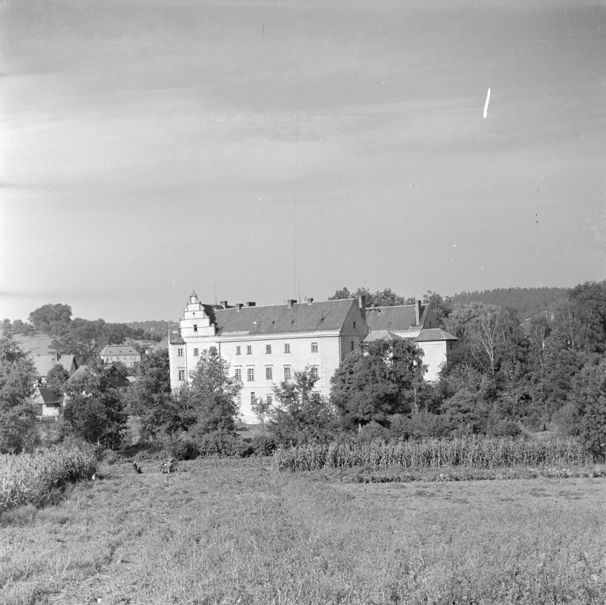 zamek - pałac, widok ogólny, skan 1