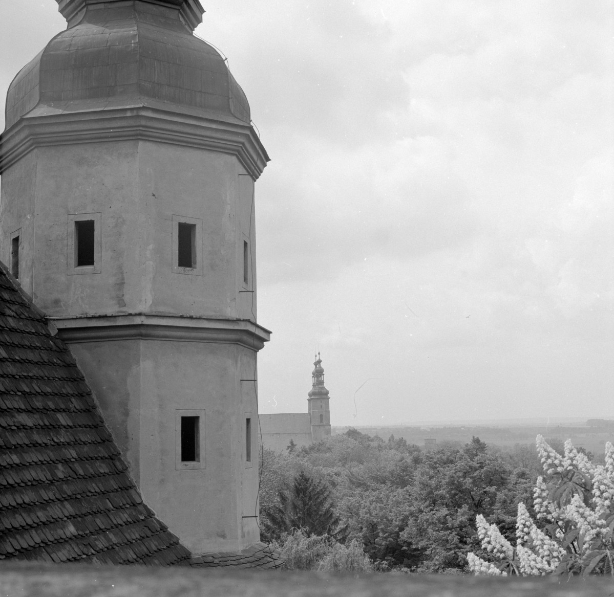 widok ogólny miasta z zamku na park i wieże kościoła pw. św. Bartłomieja - fragment, skan 1