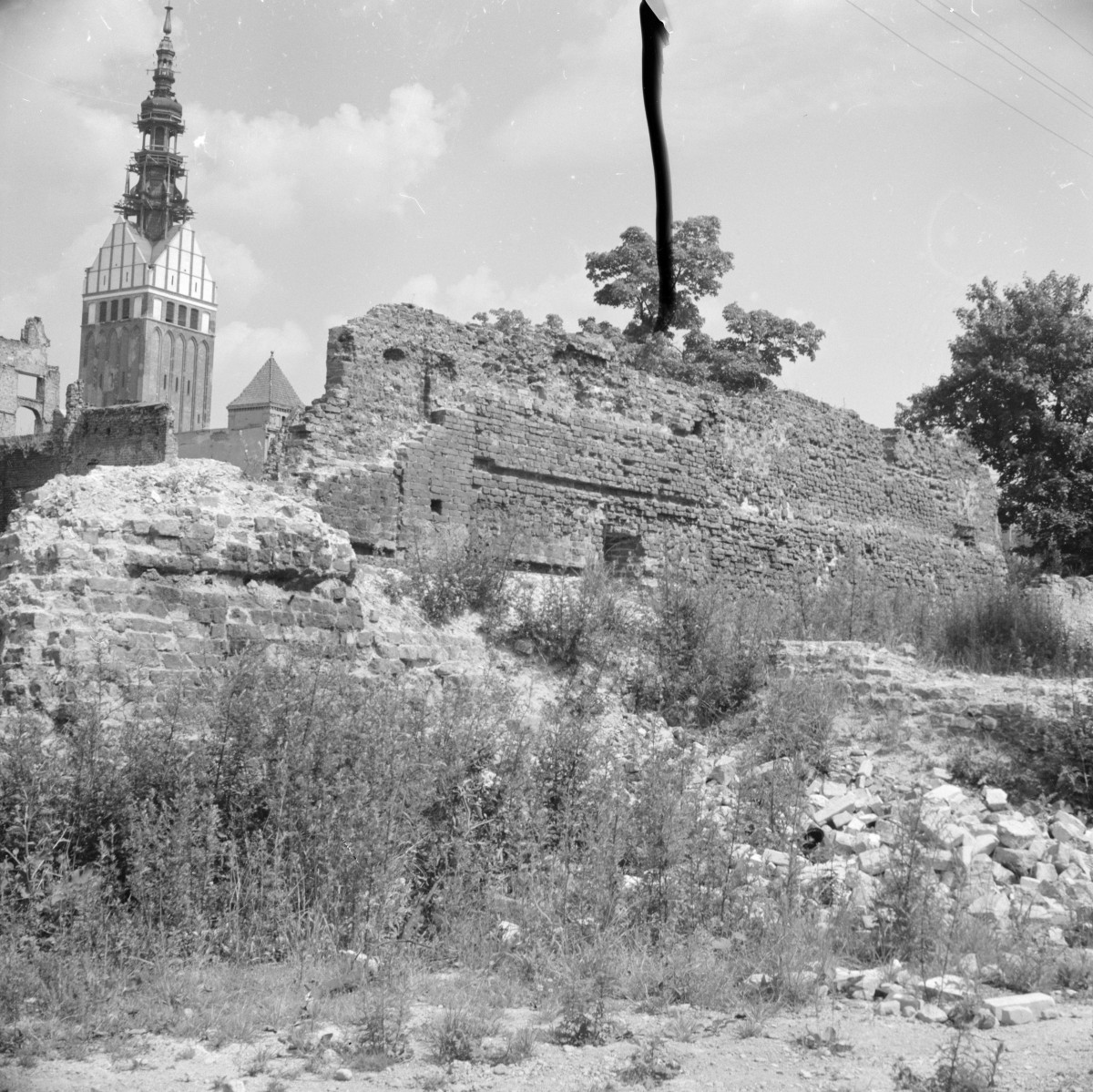 kamienice (reszty) - elewacje tylne, strona południowa, skan 1