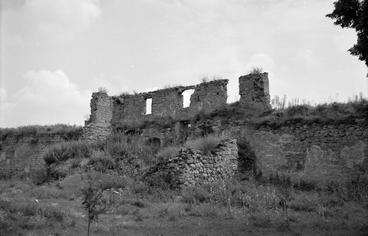 wikarówka (ruiny) - widok ogólny, skan 1