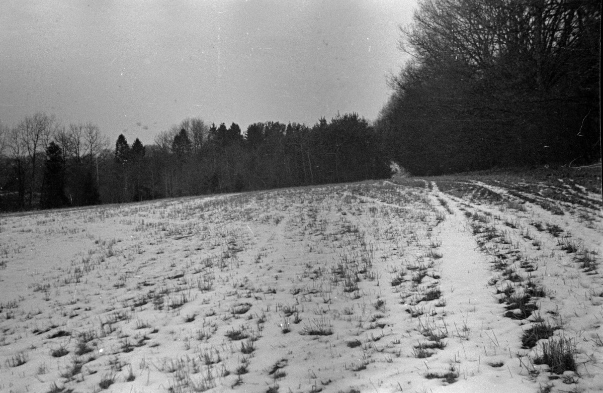 skansen - część zachodnia - fragment, skan 1