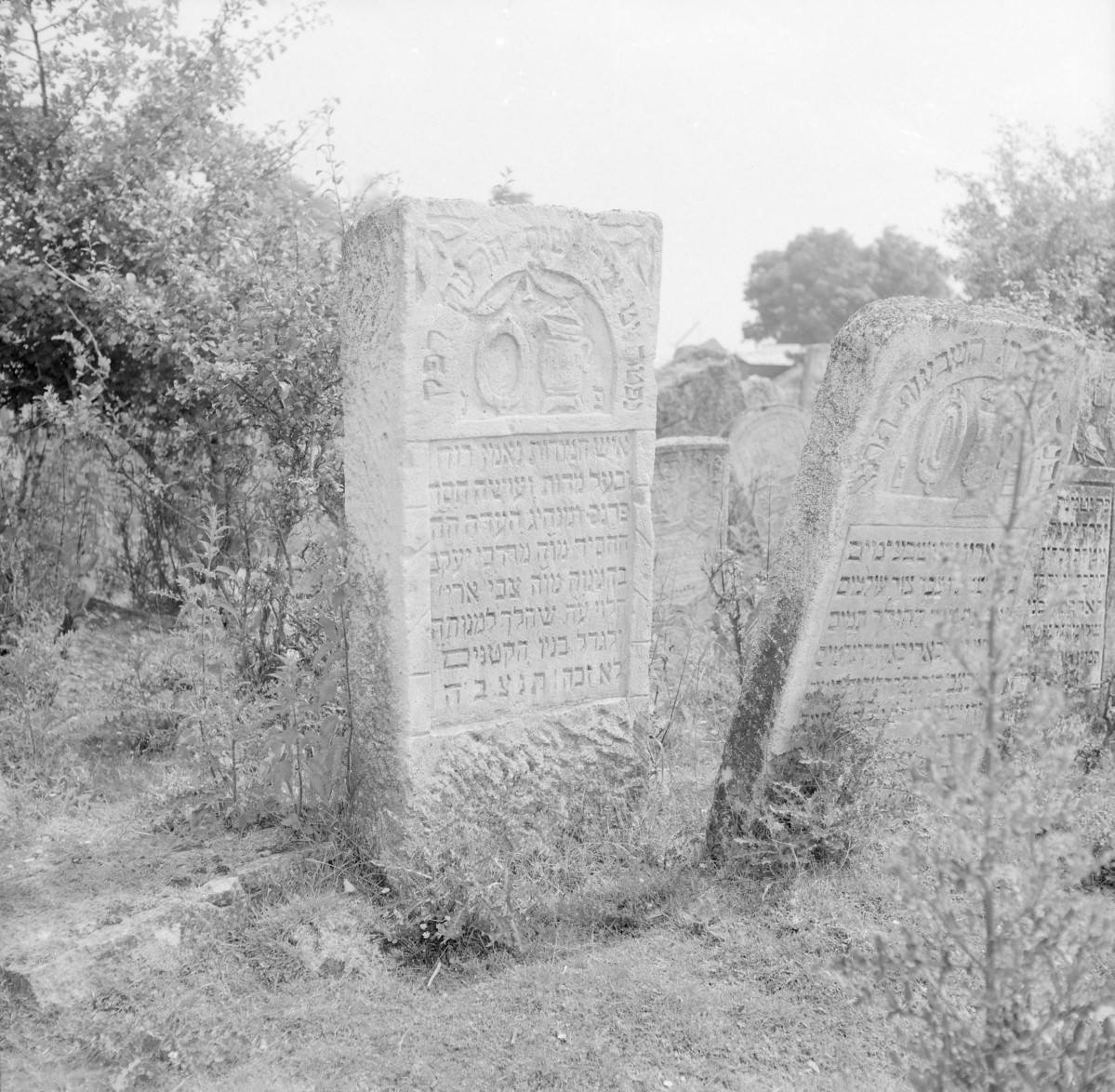 Cmentarz, Kirkut - macewy, skan 1