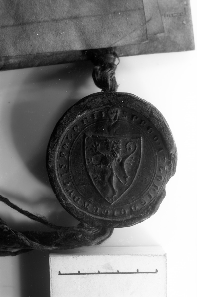 Archiwum Państwowe w Poznaniu - pieczęć Przemysława II. ok. 1294 rok., skan 1