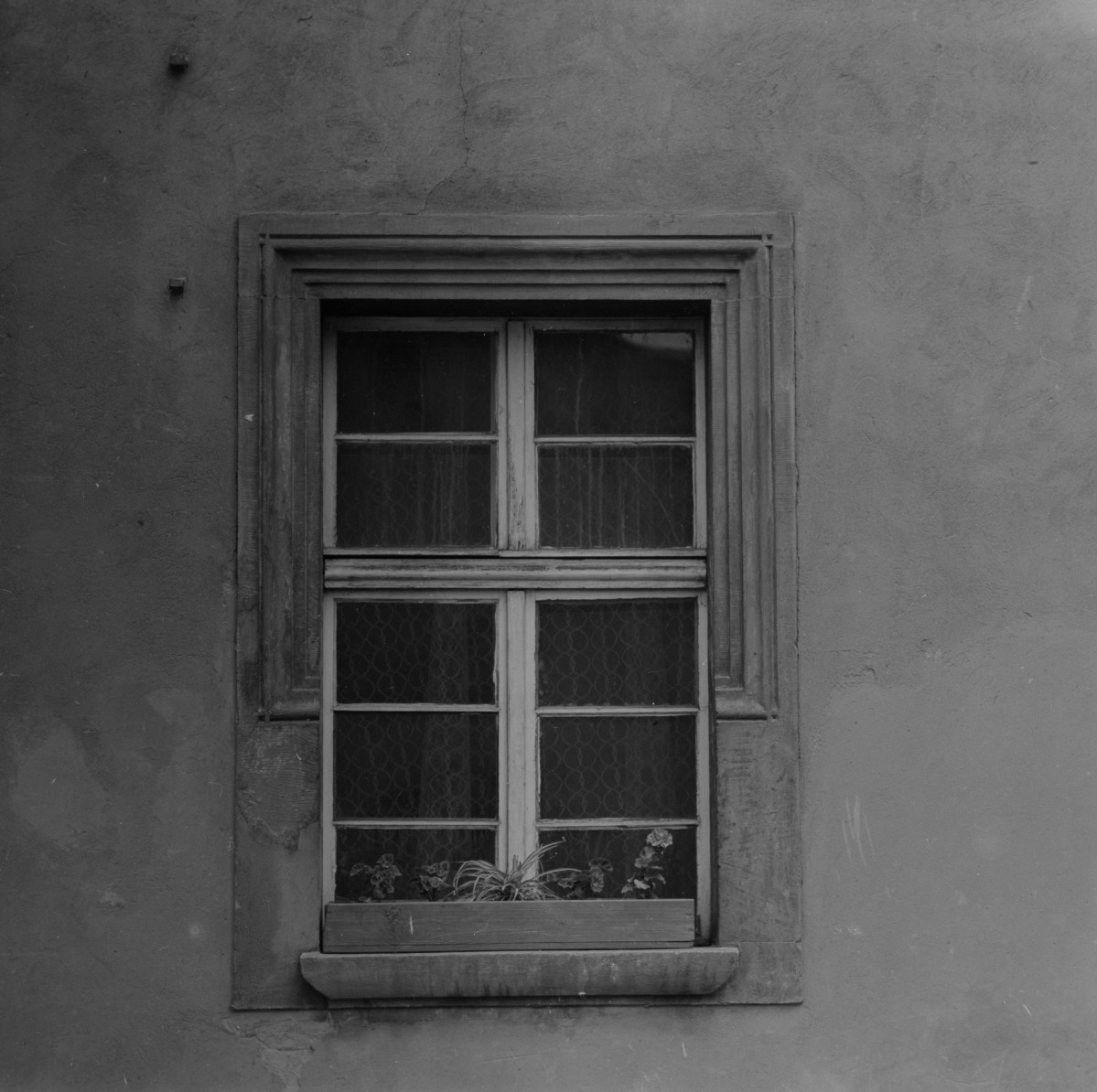 ratusz miejski - elewacja - obramienie okna, skan 1