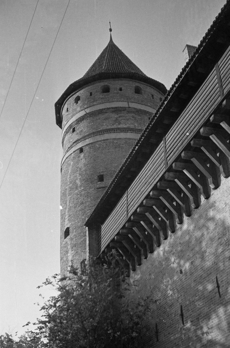 zamek i baszta, skan 1