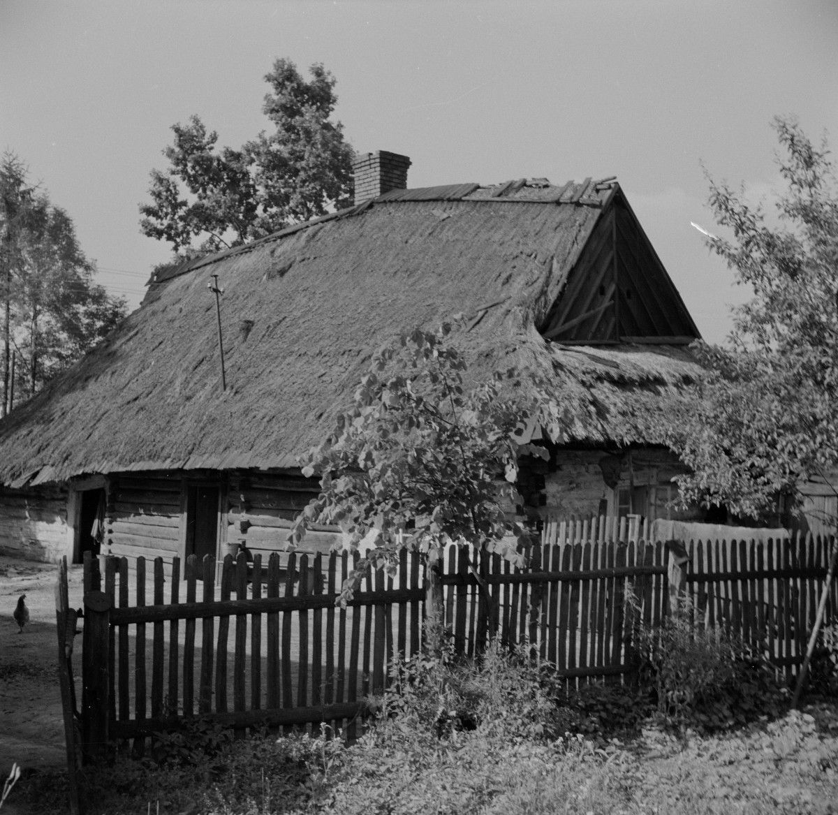 chata wiejska z 1837 r. - elewacja, skan 1