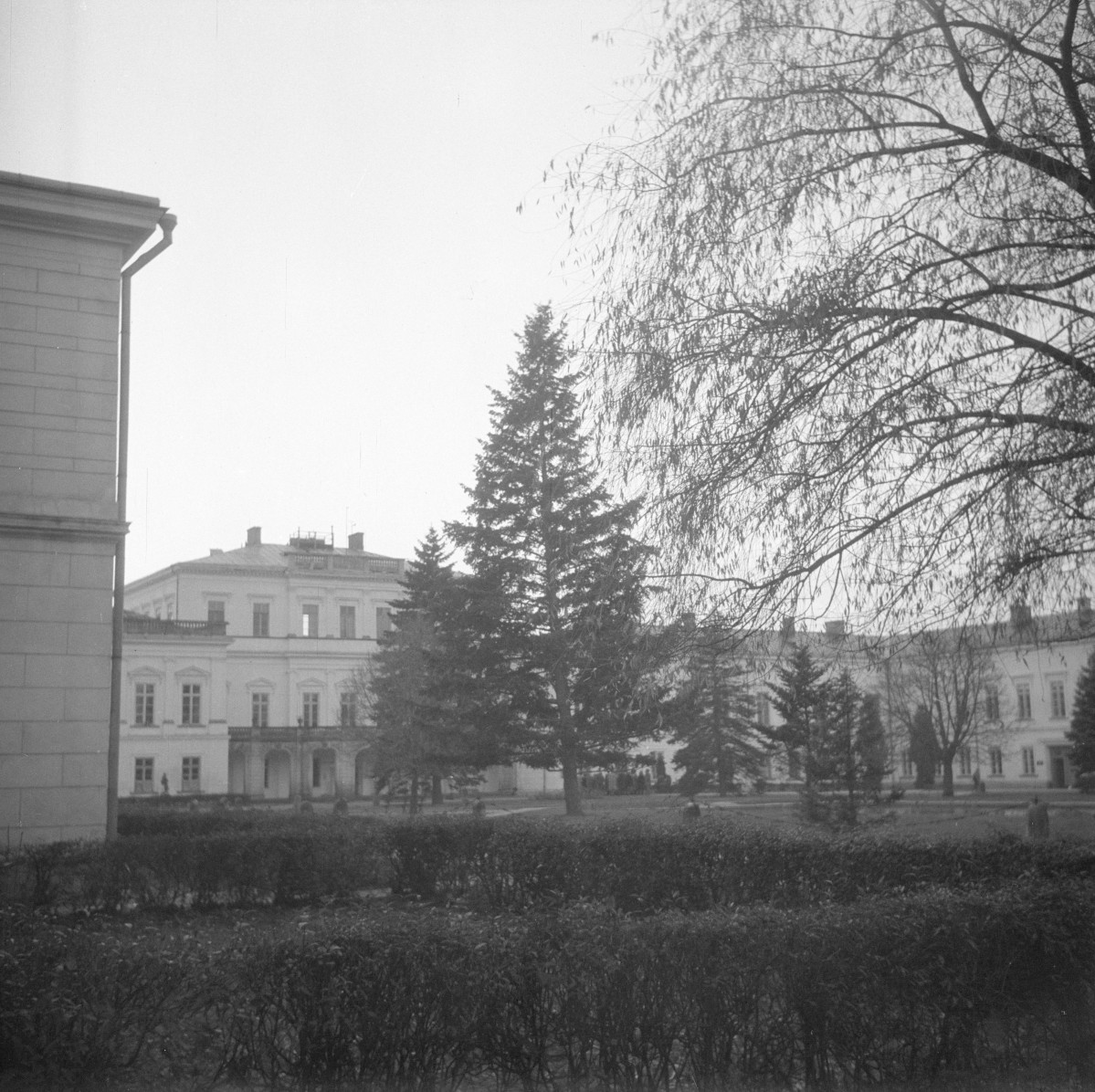 pałac Czartoryskich - elewacja frontowa - fragment, skan 1