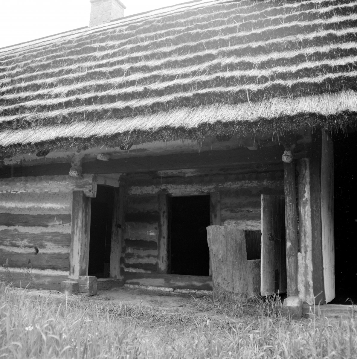skansen - wieczna chałupa z tzw. tragarzem z Dąbrówki Ruskiej, wejście frontowe, skan 1