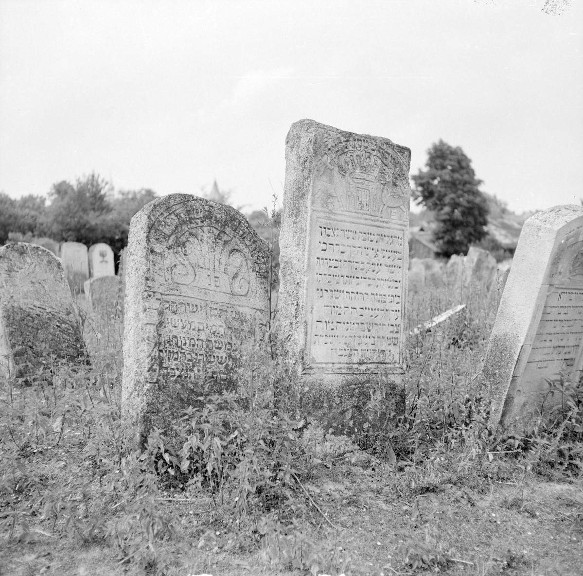 Cmentarz, Kirkut - macewy, skan 1