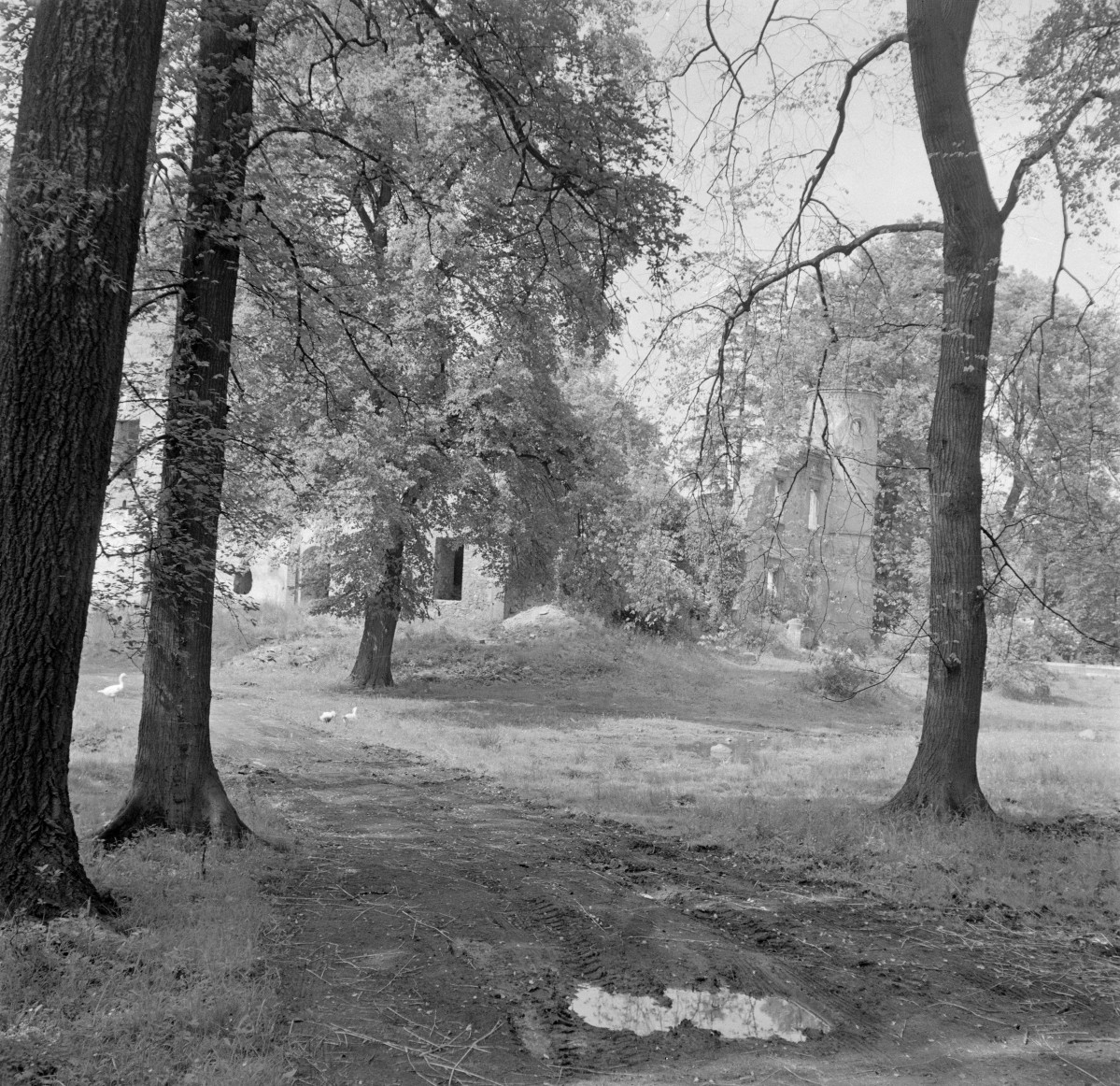 pałac - widok ogólny, skan 1