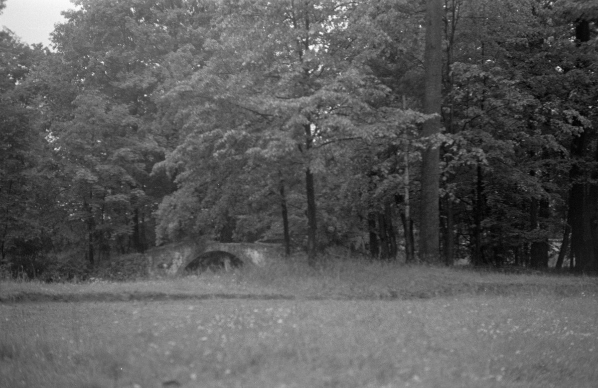 zamek Komorowskich - park, mostek, skan 1
