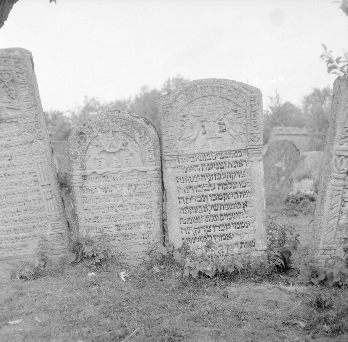Cmentarz, Kirkut - macewy, skan 1