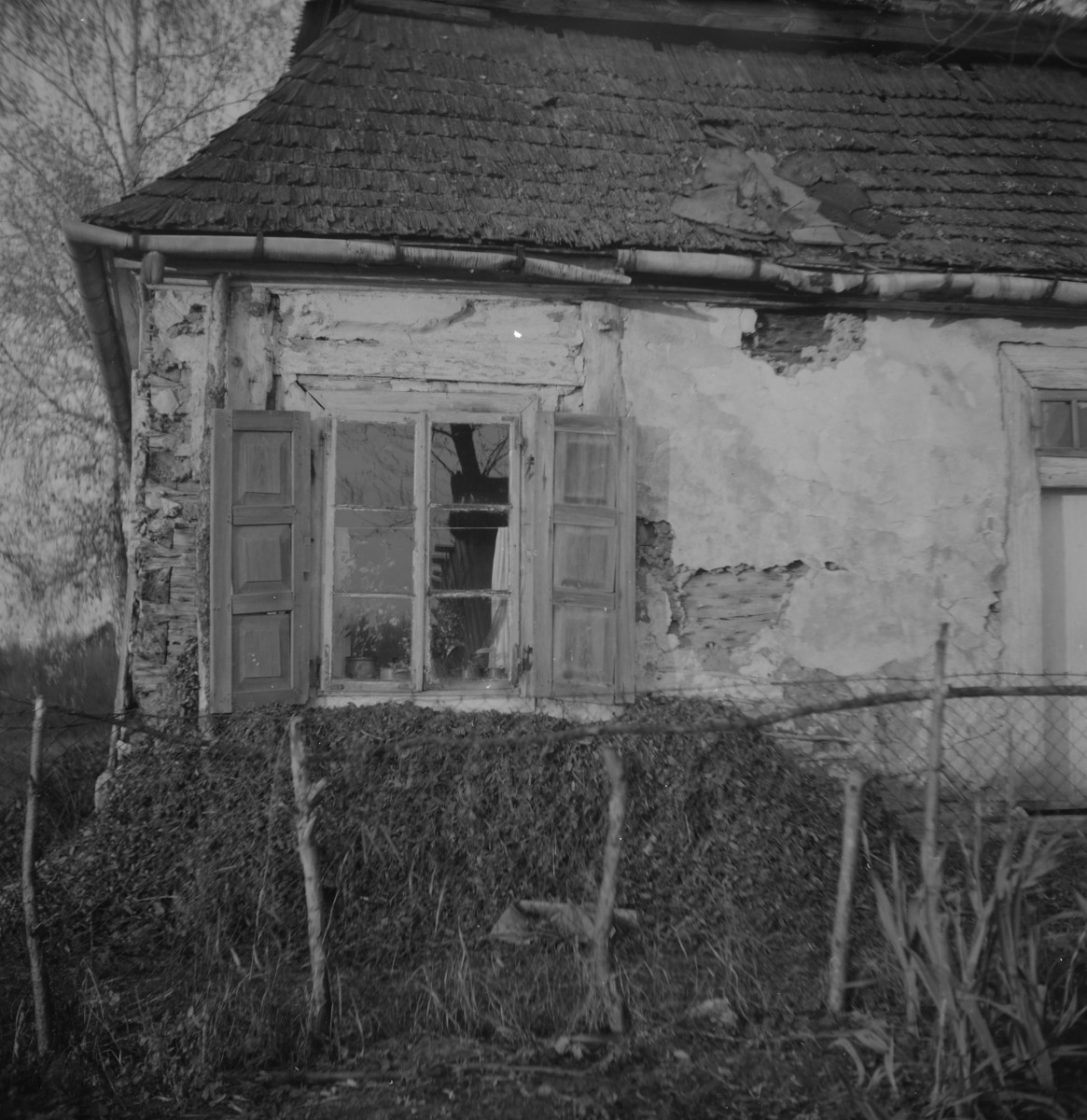 dwór drewniany - elewacja - fragment z węgłem i oknem, skan 1