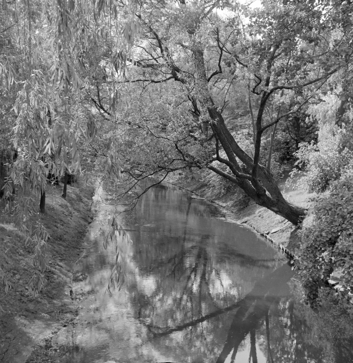 dwór Chopina - park - rzeka Utrata, skan 1