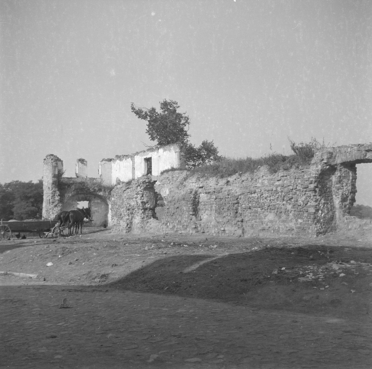 mury obronne - baszta - ruiny - fragment, skan 1