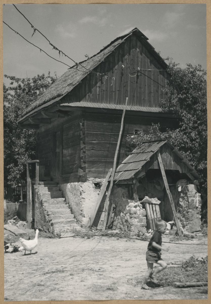 Zagroda wiejska - widok zabudowań, skan 1