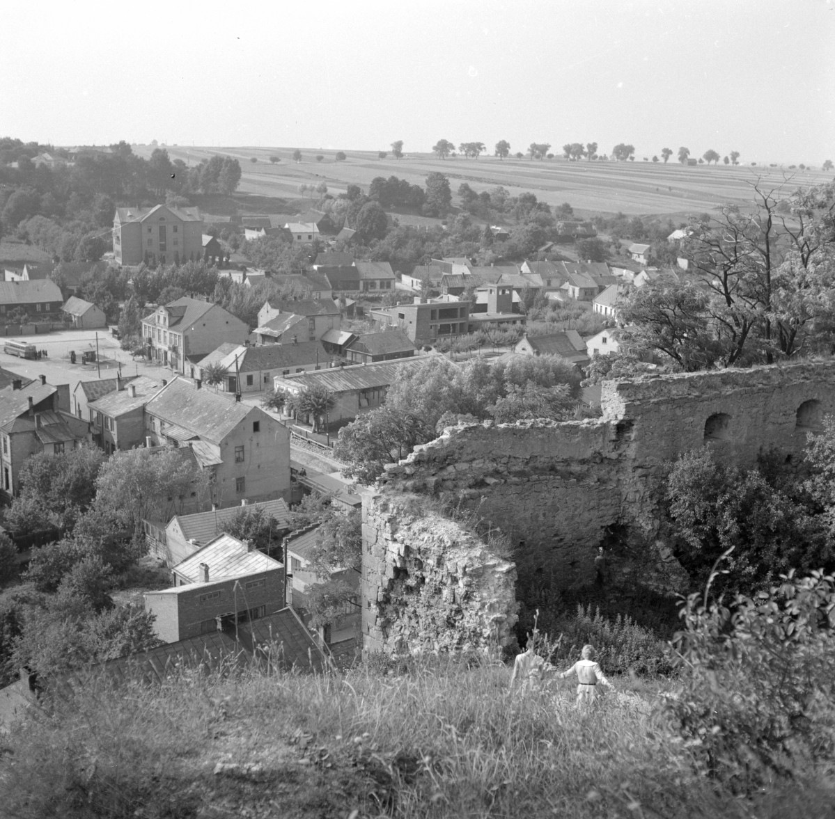 panorama miasta - widok z ruin zamku biskupiego, skan 1