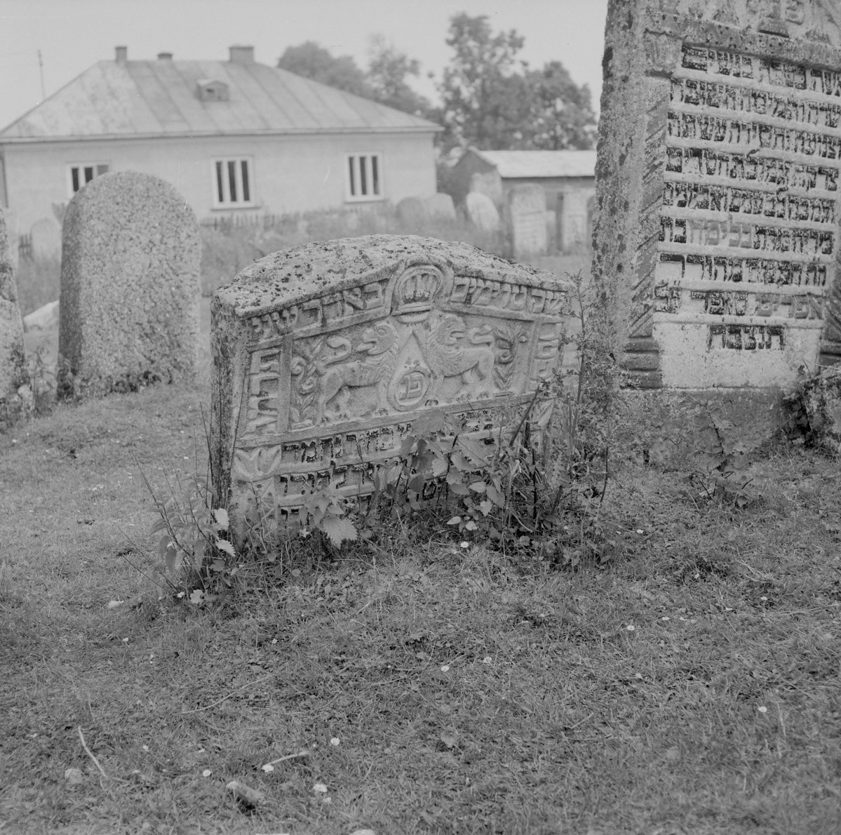 Cmentarz, Kirkut - macewy, skan 1