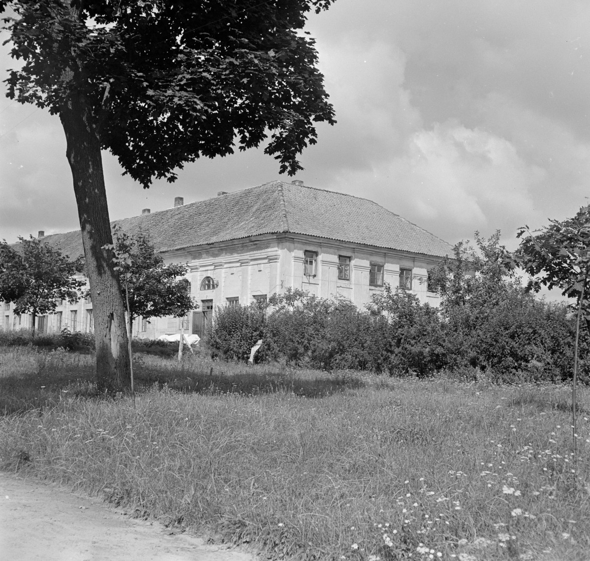 pałac Sanguszków - oranżeria, elewacja, skan 1