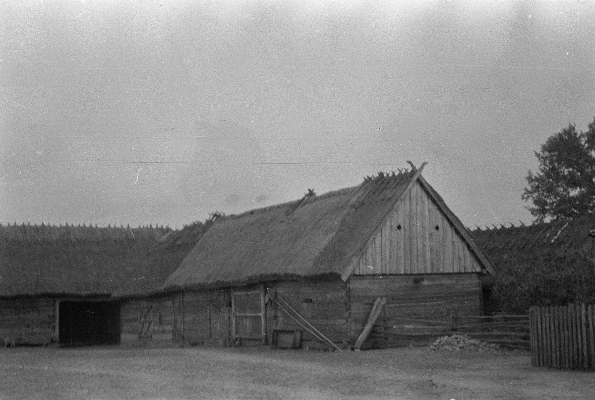stodoła nr 3 - elewacja, skan 1