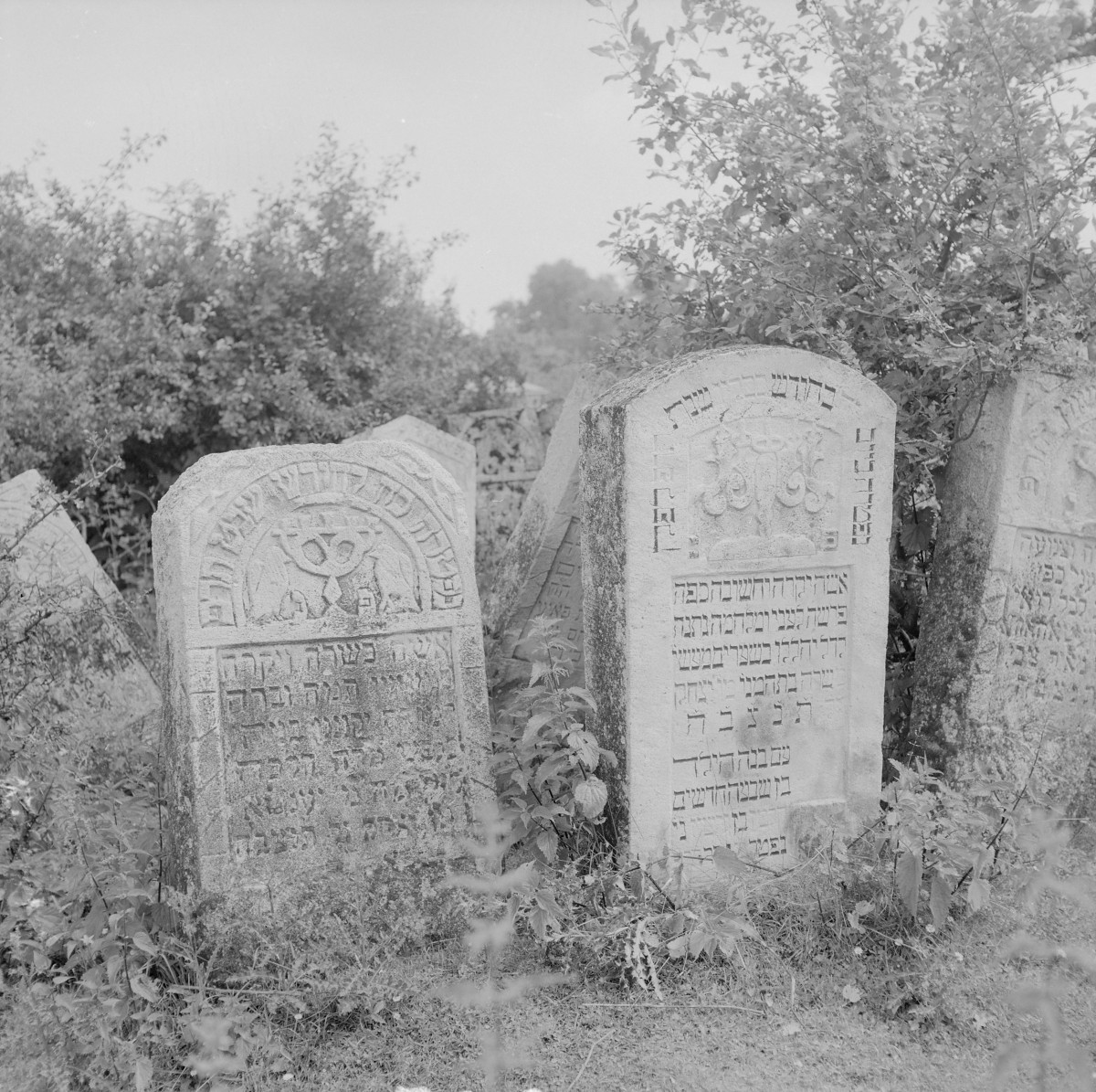 Cmentarz, Kirkut - macewy, skan 1