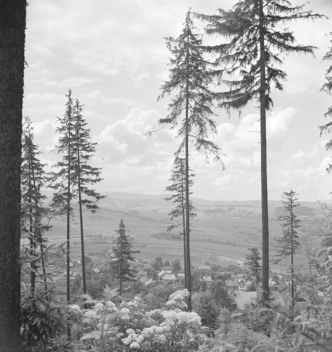 panorama wsi - fragment, skan 1