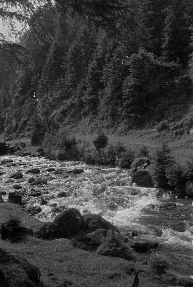 Jaszczurówka (Zakopane) - dolina Jaworzynki, skan 1