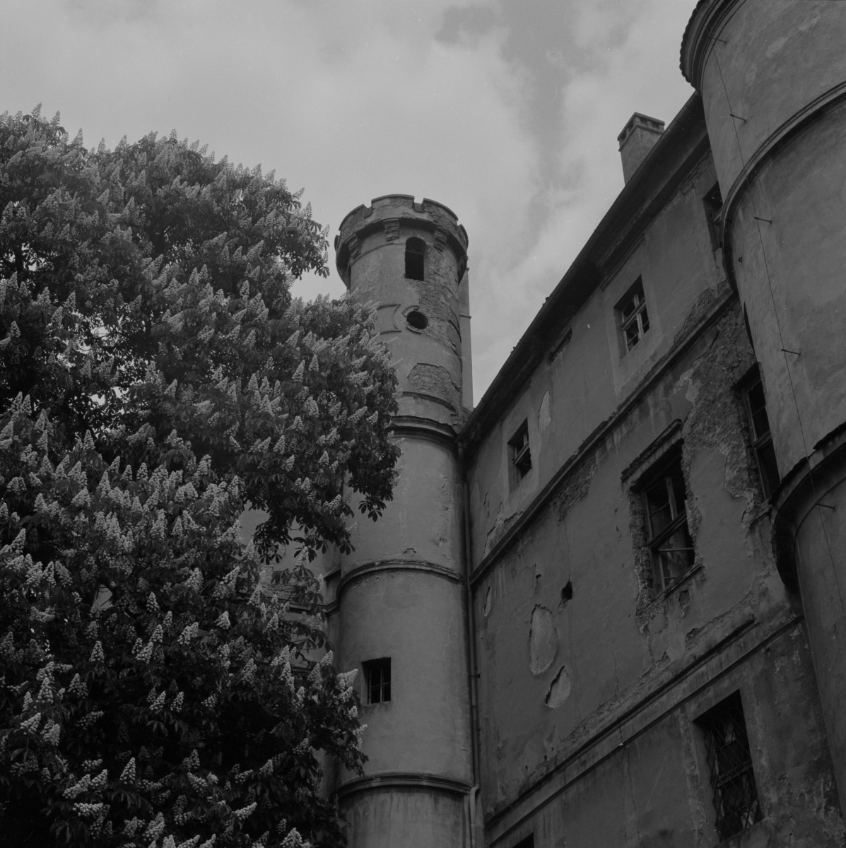 zamek Oppersdorffów - zamek górny - zewnętrzna elewacja zachodnia - fragment z wieżą, skan 1
