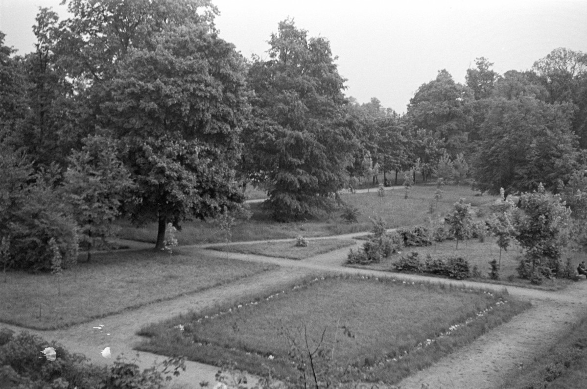 pałac Sanguszków - park pałacowy, skan 1