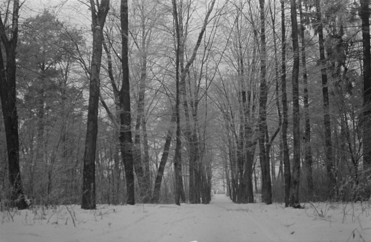 park - aleja, skan 1