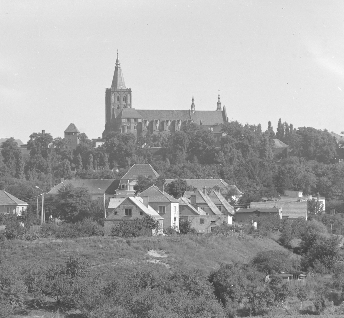 Kościół Wniebowzięcia Najświętszej Maryi Panny - widok ogólny oraz zabudowa miejska., skan 1