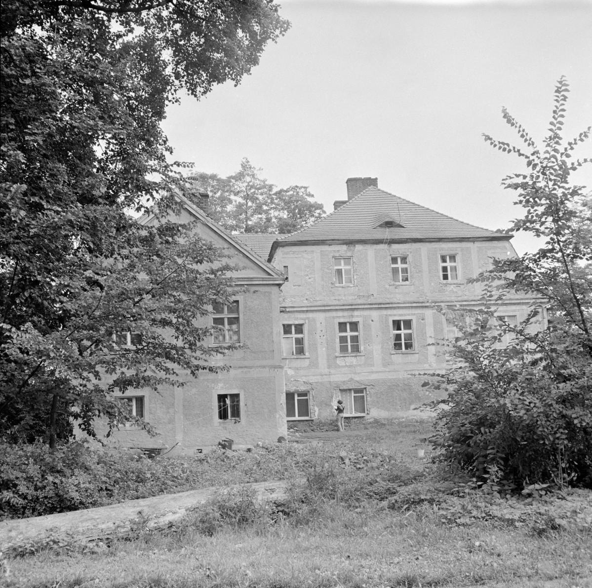 pałac - elewacja wschodnia, skan 1