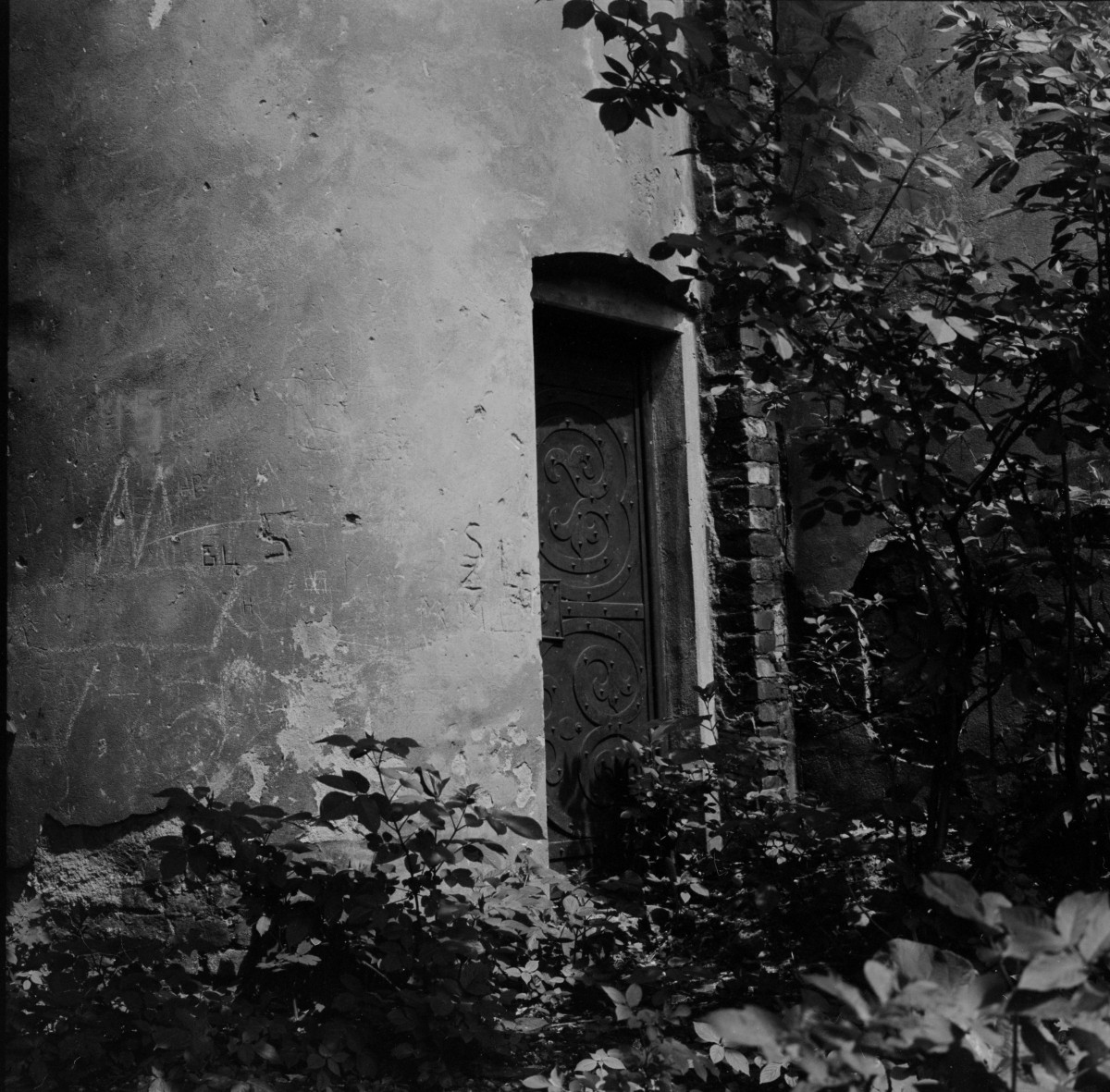 zamek Oppersdorffów - wieża - portal, skan 1